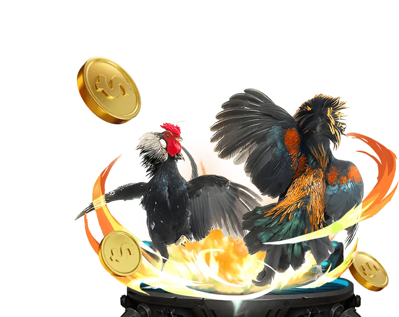 Tổng quan về Đá Gà v99